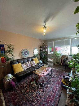 Ručně tkaný perský koberec(Irák) - 2