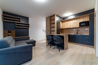 Pronájem novostavby 2+kk s balkonem a parkovacím místem, Zbů - 2