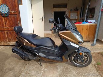 Kentoya Maximus 125ccm ( 2019 ) - 2