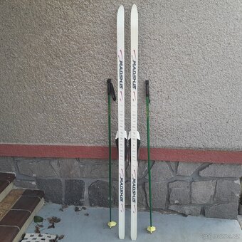 Běžecké lyže MADSHIS. - 2