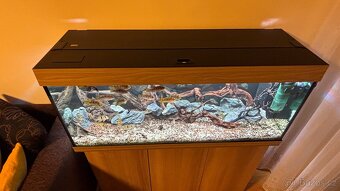 Akvarijní set Juwel Rio 240 dub světlý - 2