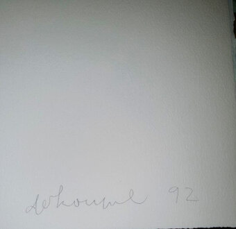 Dokoupil litografie 100 - 2