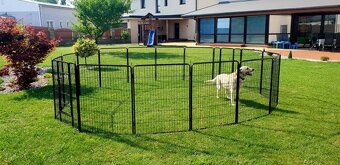 Chovatelský plot - 2