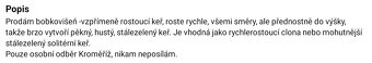 Bobkovišeň - 2