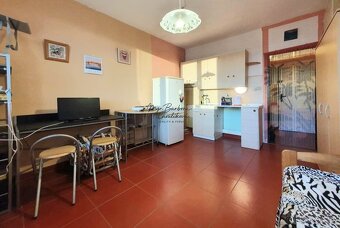 Pronájem útulného bytu 1+kk, 20 m², Luďka Pika, Plzeň - 2