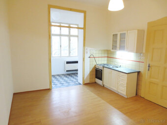 Prostorný byt 2+1 na Klatovské třídě - 2