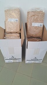 Štěpka Borniak - 2