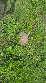 Prodej stavebního pozemku Brantice - 2