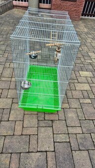 Klec na papouška - 2