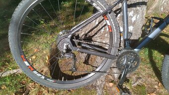 Horské kolo 4ever Sceleton 29" - 2