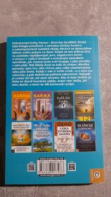 Kniha-Karma náprava chyb - 2