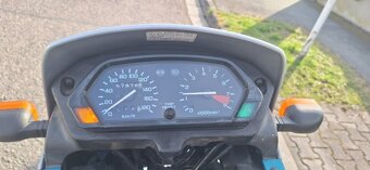 Honda DOMINATOR 650 - 2