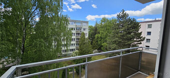 Pronájem bytu 3+1, 72m2, sklepní kóje a garážové stání - 2