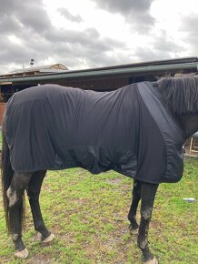 Back on track Royal Mash Deluxe 135cm - 2