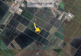 Prodej pole v k.ú. Velké Bílovice - 2