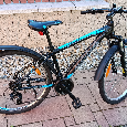 Dětské horské kolo Alpina Eco M10 - 2