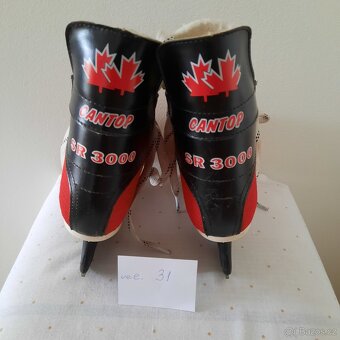 LEDNÍ BRUSLE- VEL. 31 - 2