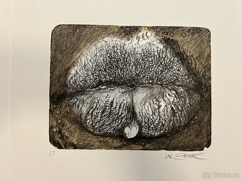 Jan Saudek litografie celek - 2