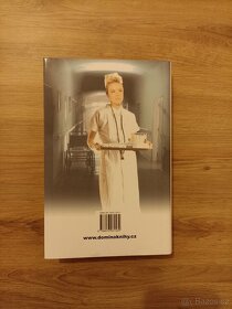 Sestřička - Henry Denker - 2