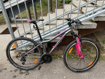 Author Matrix 26´ - 2