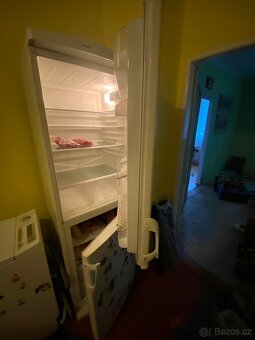 Lednice Gorenje - 2