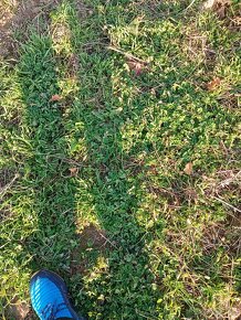 Pole, orná půda, k pronajmutí, do pachtu za naturálie. - 2