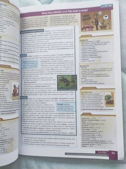 Komunikace v českém jazyce pro střední školy - 2