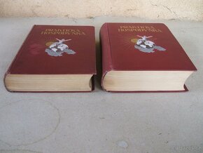 Praktická hospodyňka I+II  Olga Stránská - 2