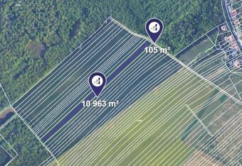 Prodej podílu 1/2 lesa 9 147 m², Ořechov - 2