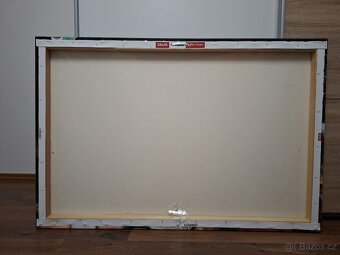 Nástěnný obraz Conor McGregor - 2