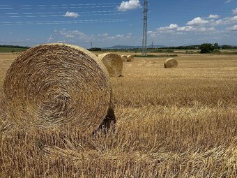 Pšeničná slama guľaté baliky - 2