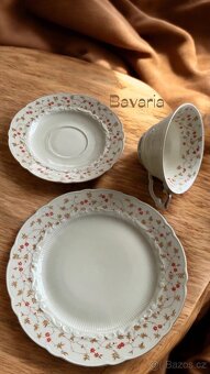Vintage porcelánové Čajové trio BAVARIA GERMANY - 2
