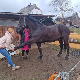 Valach - 2