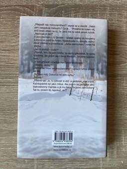 Ve tvých snech - Kristan Higgins - 2
