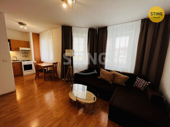 Pronájem zařízeného bytu 1 + kk, 38 m2, ul. Horní , , 133042 - 2