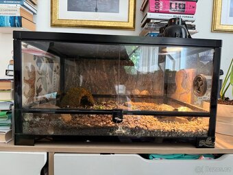 Prodám terárium Repti Zoo NET RK 60x45x32 cm - 2