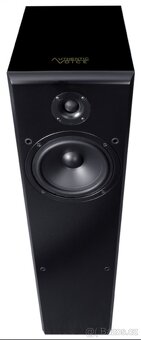 Authentic Voice Magic 221 - 2