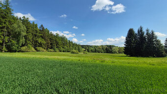 Prodej pozemku 5776 m2 v Borové u Poličky, okr. Svitavy - 2