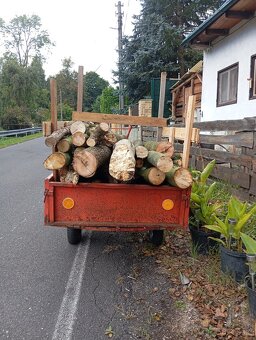 Kultivátor MS 19 - 2