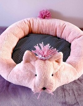 Pelisek pes jorkšír - 2