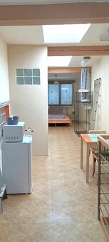 Loftový byt 30 m2, student/st. pár. pračka, RD, okolí centra - 2