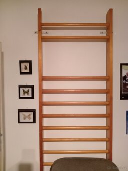 Ribstole - 2