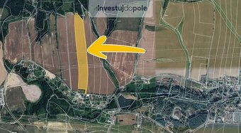 Prodej pole v k.ú. Hamr na Jezeře - 2