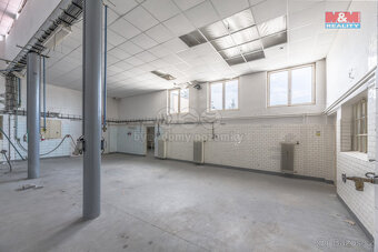 Prodej výrobního objektu, Kostelec nad Labem, ul. K Labi - 2