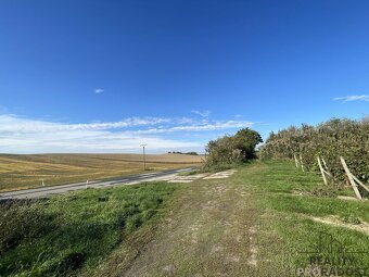 Prodej vinohradu 11340 m2 Čejkovice, Vinohrad 11340 m2 Čejk - 2