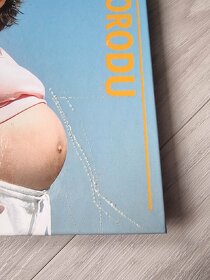 Kniha o těhotenství a porodu - 2