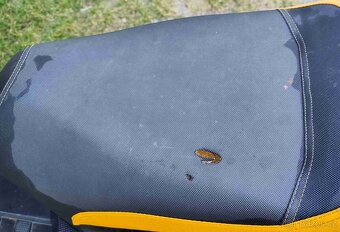 Kentoya Asphyx 125 ccm - 2