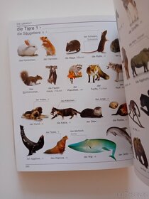 Deutsch als Fremdsprache Visuelles Wörterbuch - 2