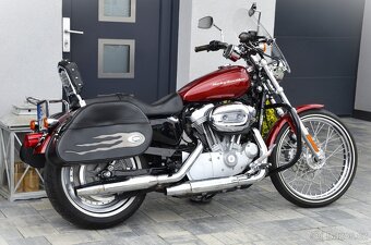 Harley Davidson XL883C Sportster Custom CZ původ - 2