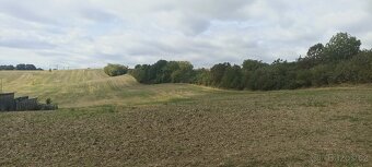 Prodej stavebního pozemku,obec Bohdalice-Pavlovice,CP 3936m2 - 2